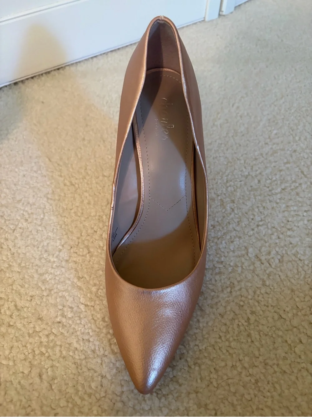 Charles David sleek pointed